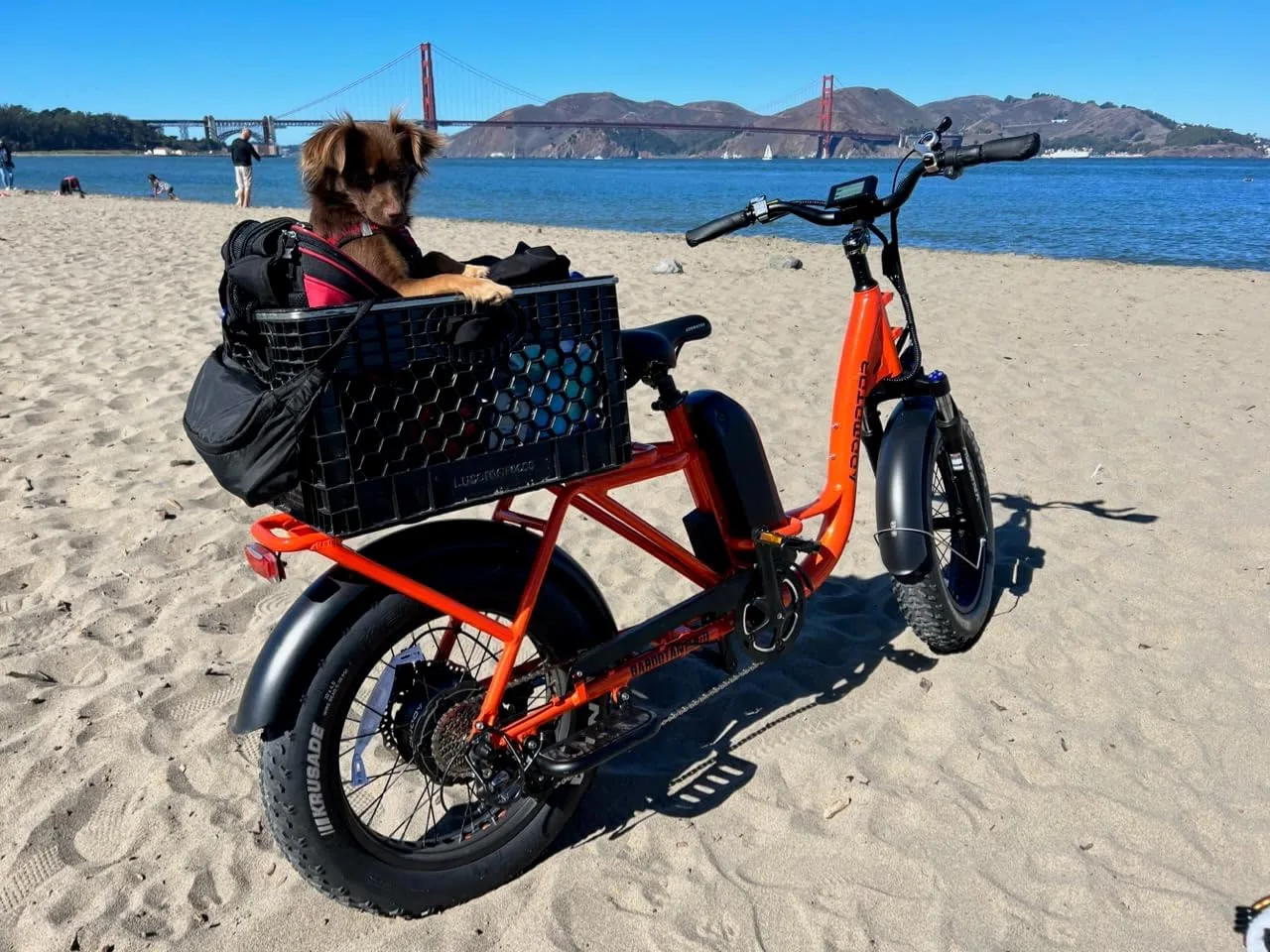 ADDMOTOR Garootan M-81 Cargo Ebike, 750W, Long-Tail